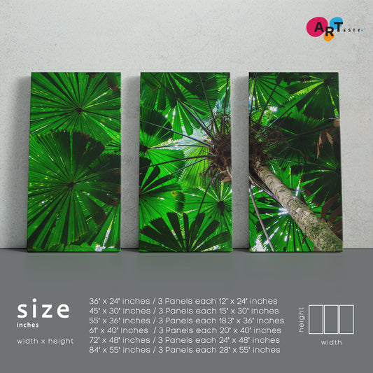 FAN PALM Green Foliage Daintree Australia Queensland Rainforest Tropical, Exotic Art Print Artesty