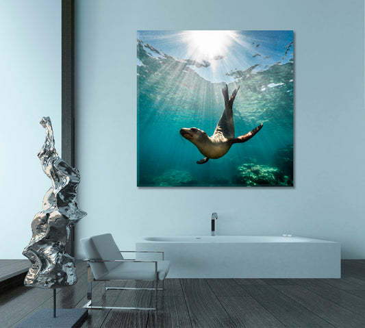 Sea Life A beautiful Shot of a California Sea Lion Seal - Square Panel Animals Canvas Print Artesty 1 Panel 12"x12"