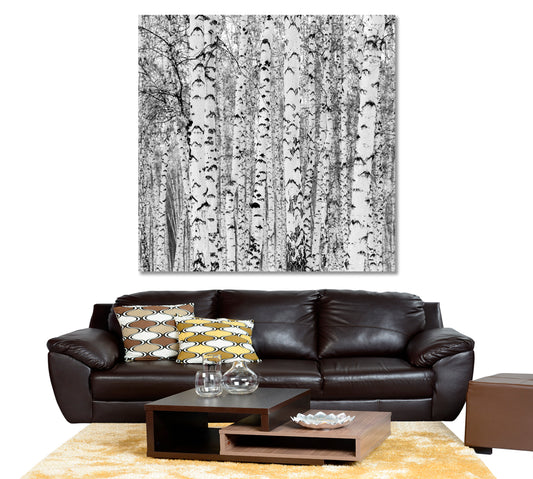 Birch Forest Winter Landscape Black and White Photo Print - Square Panel Floral & Botanical Split Art Artesty