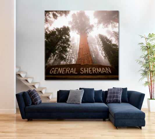 Giant Sequoia Tree General Sherman Sequoia National Park California USA - Square Panel Nature Wall Canvas Print Artesty
