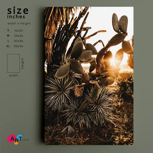 BEAUTY OF CACTUS Sunset Tropical Exotic Plants Tropical Foliage - V Tropical, Exotic Art Print Artesty 1 Panel 16"x24"