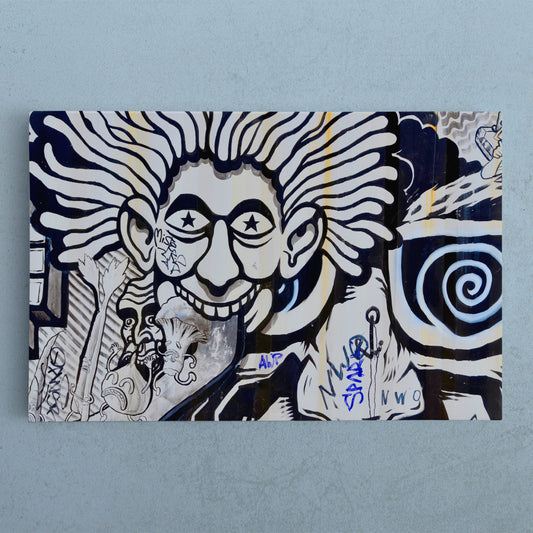 Whimsical Wall Graffity Street Art Doodle Fine Art Canvas Print Street Art Canvas Print Artesty 1 panel 24" x 16"