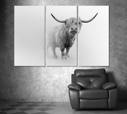 Young Scottish Highland Cattle Cow Animals Canvas Print Artesty   