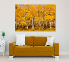 BEAUTIFUL AUTUMN Colorful Stands Of Aspen Trees Nature Wall Canvas Print Artesty   