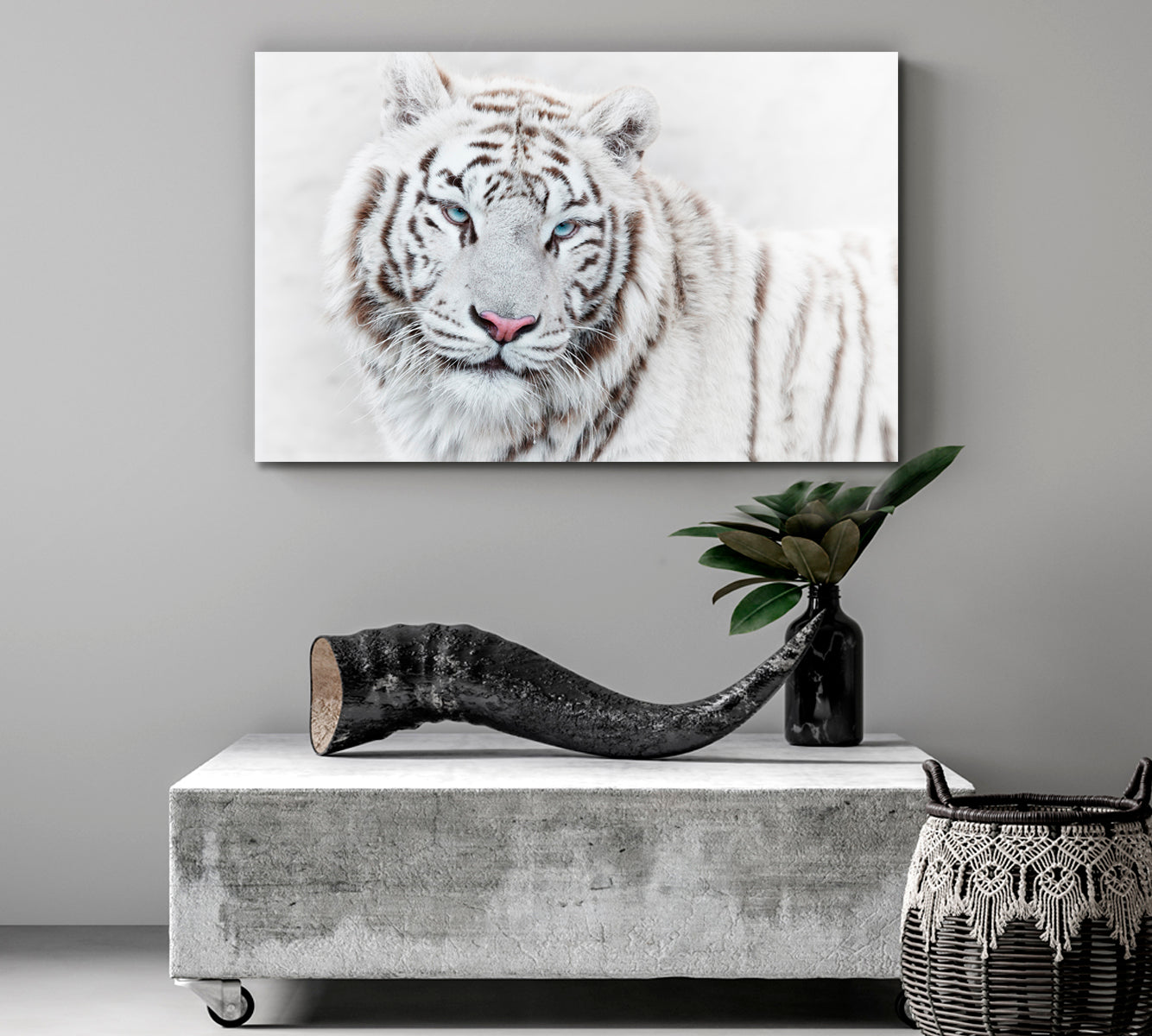 Beautiful Mighty White Tiger Animals Canvas Print Artesty   