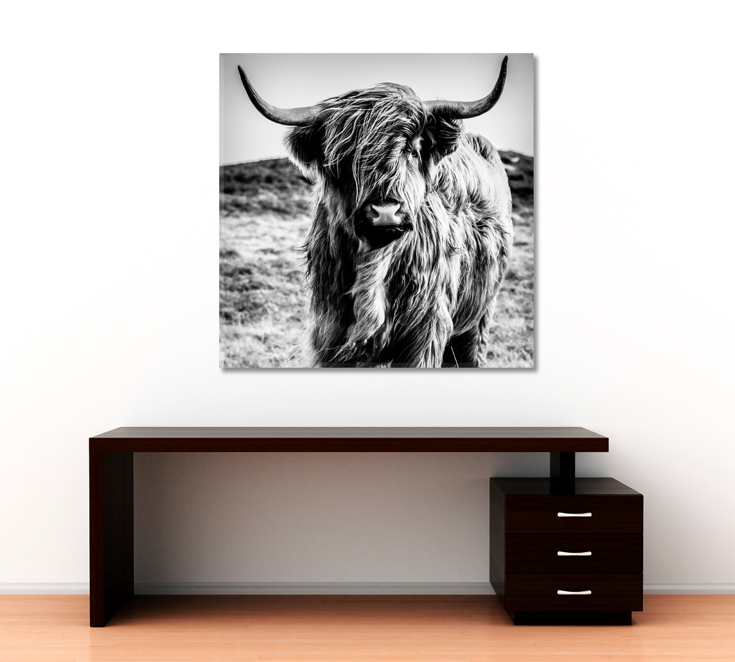 Black and White Cattle Shaggy Highland Cow Animals Canvas Print Artesty   