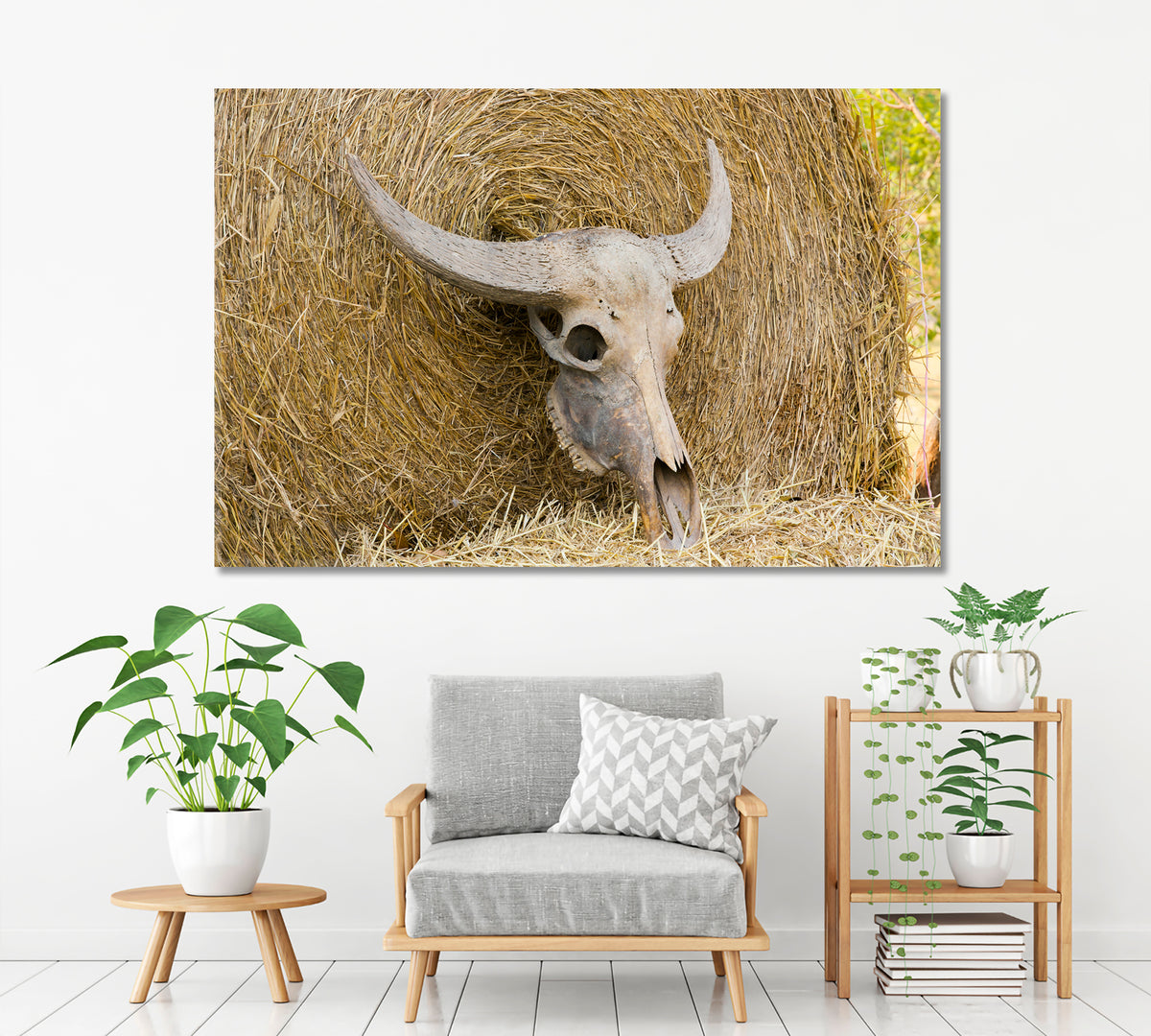 Cattle Cow Skull On Straw Animals Canvas Print Artesty 1 panel 24" x 16" 