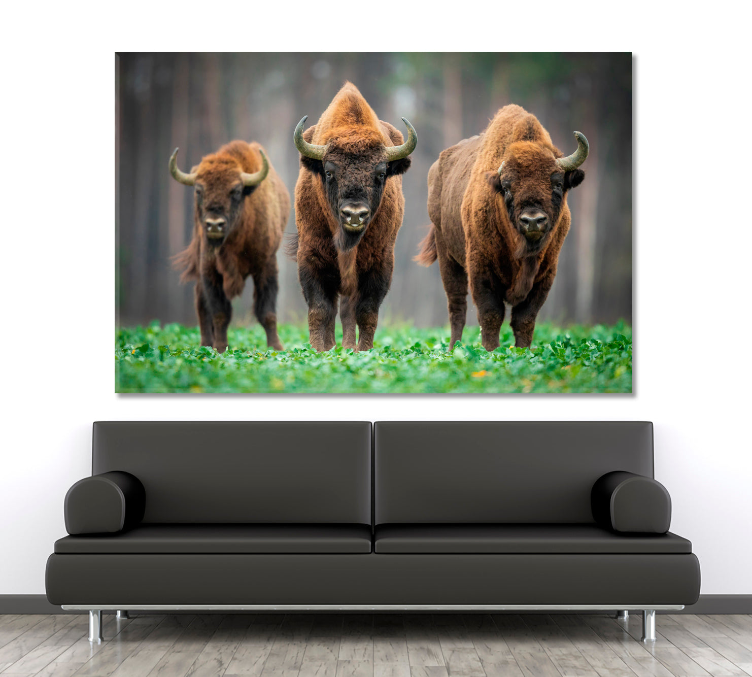 Cow Wild Bison In The Nature Animals Canvas Print Artesty 1 panel 24" x 16" 
