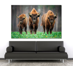 Cow Wild Bison In The Nature Animals Canvas Print Artesty 1 panel 24" x 16" 