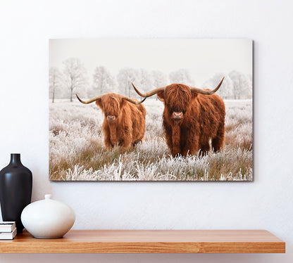 Hairy Scottish Highland Cow Winter Landscape Animals Canvas Print Artesty   