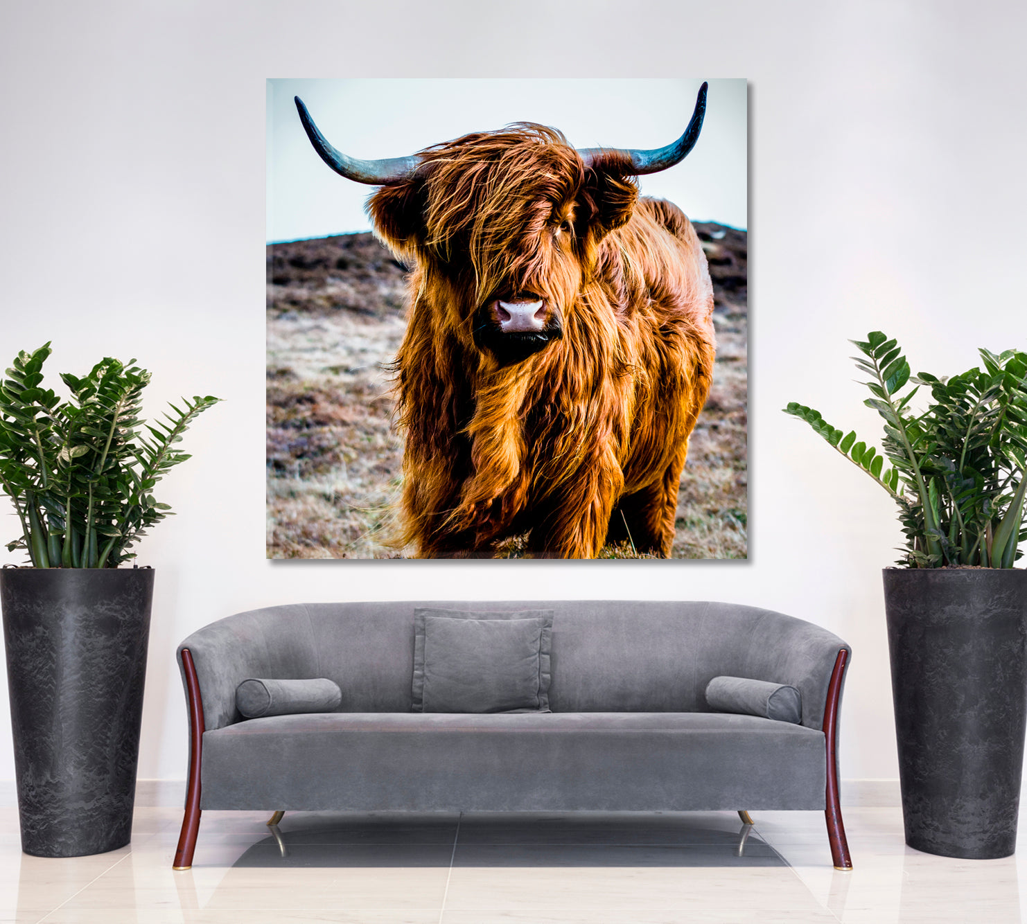 Shaggy Highland Cow Animals Canvas Print Artesty   