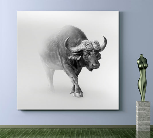 WILDLIFE African Buffalo In The Mist Animals Canvas Print Artesty   