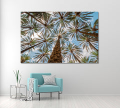 Sky & Tropical Exotic Palms Trees Panorama Tropical, Exotic Art Print Artesty 1 panel 24" x 16" 