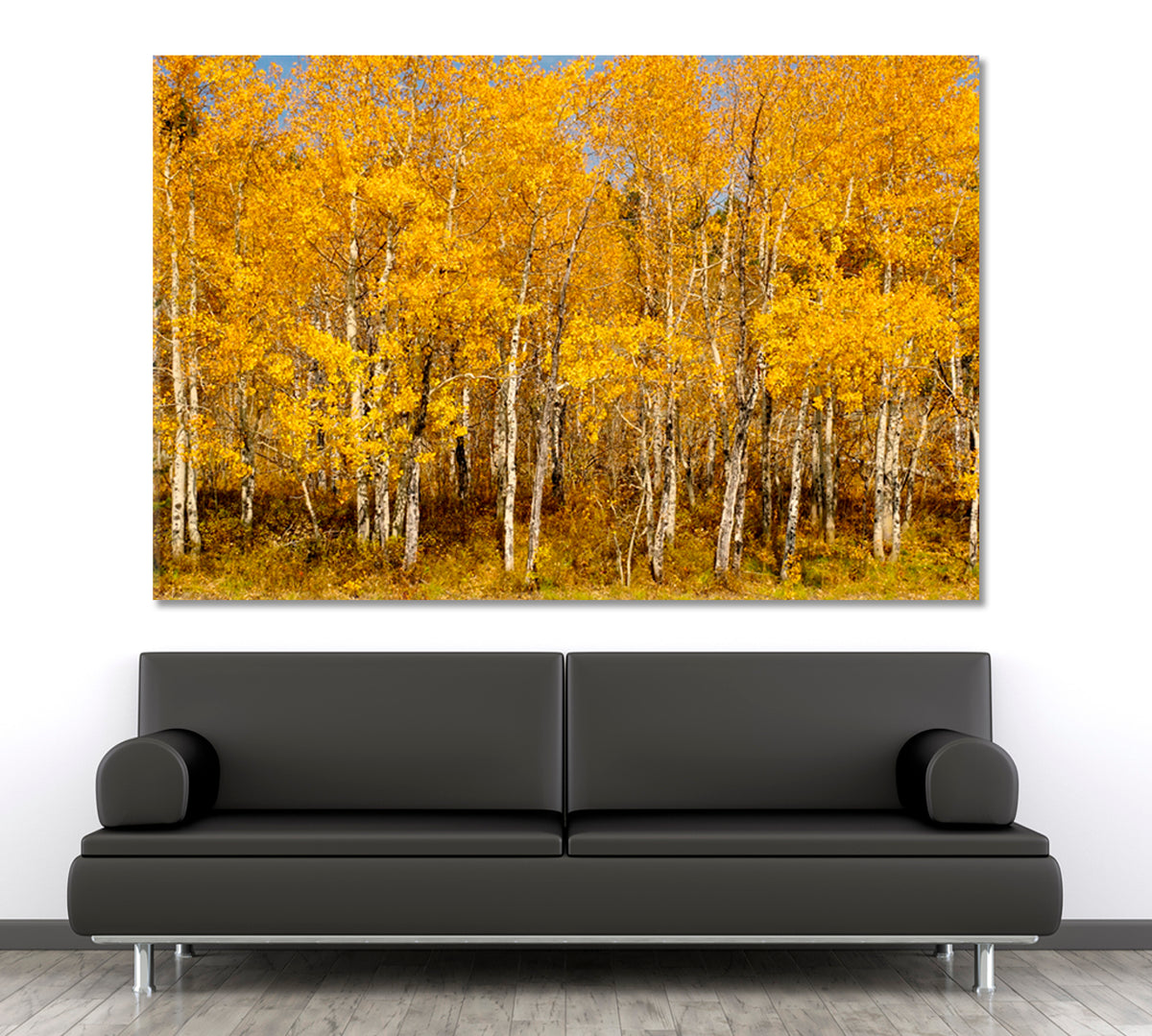 BEAUTIFUL AUTUMN Colorful Stands Of Aspen Trees Nature Wall Canvas Print Artesty 1 panel 24" x 16" 