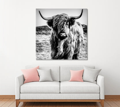 Black and White Cattle Shaggy Highland Cow Animals Canvas Print Artesty   