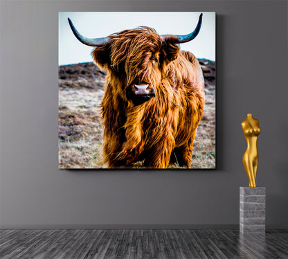 Shaggy Highland Cow Animals Canvas Print Artesty   