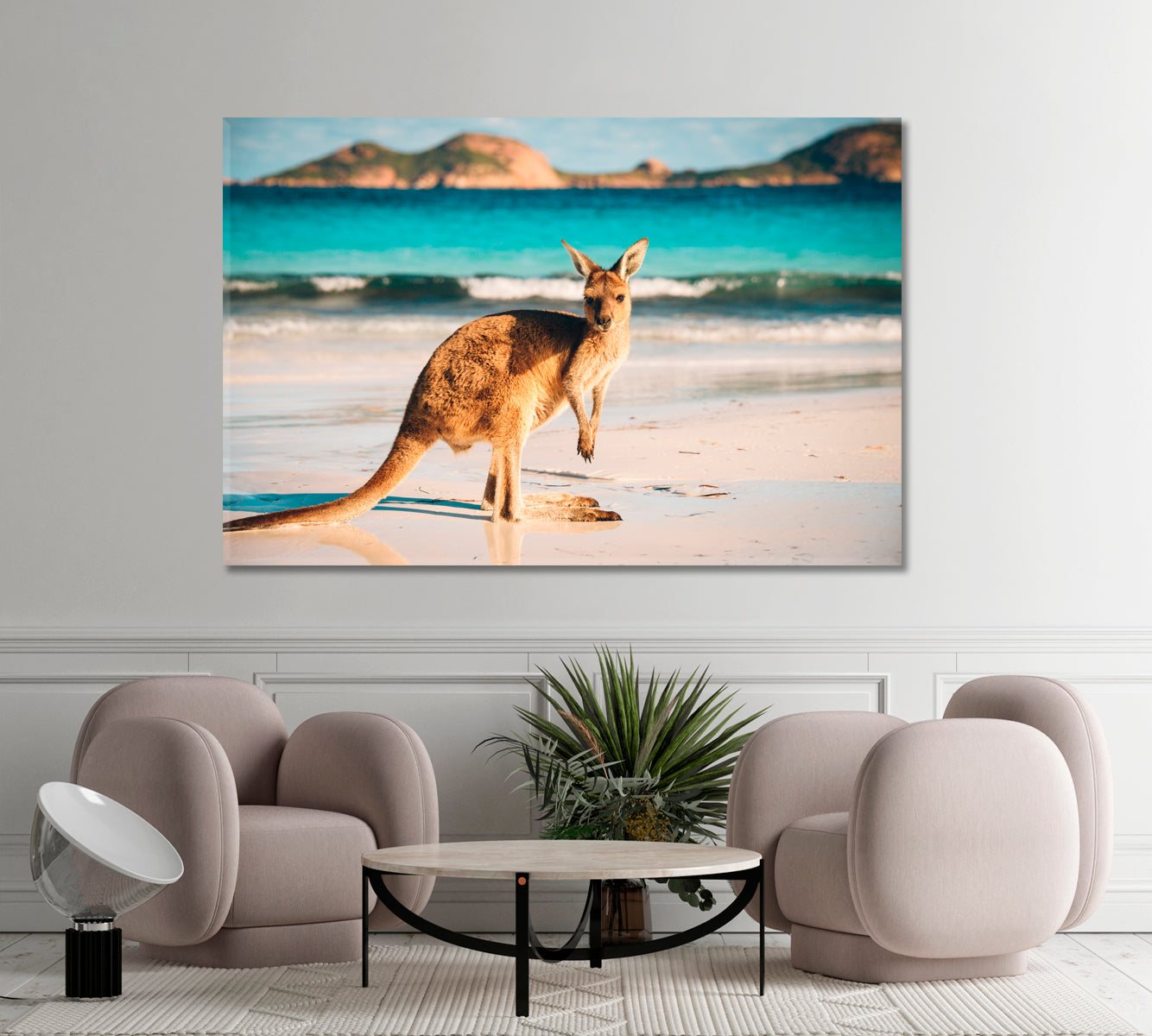 Kangaroo at Lucky Bay Countries Canvas Print Artesty   