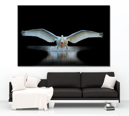 Swan With Open Wings Unique Moment Animals Canvas Print Artesty   