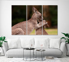Kangaroo Mother And Baby Wild Life Framed Art Artesty 3 panels 36" x 24" 