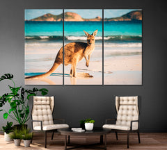 Kangaroo at Lucky Bay Countries Canvas Print Artesty 3 panels 36" x 24" 