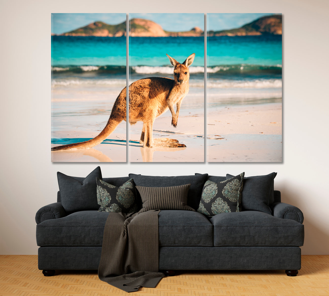 Kangaroo at Lucky Bay Countries Canvas Print Artesty   