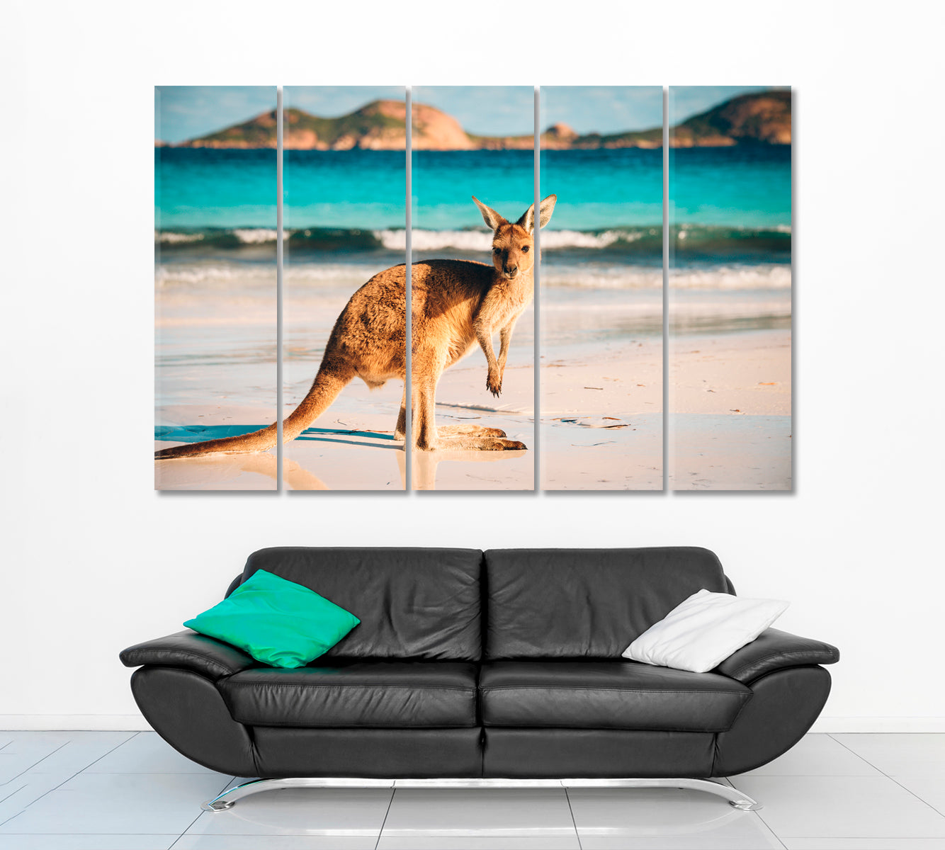 Kangaroo at Lucky Bay Countries Canvas Print Artesty 5 panels 36" x 24" 