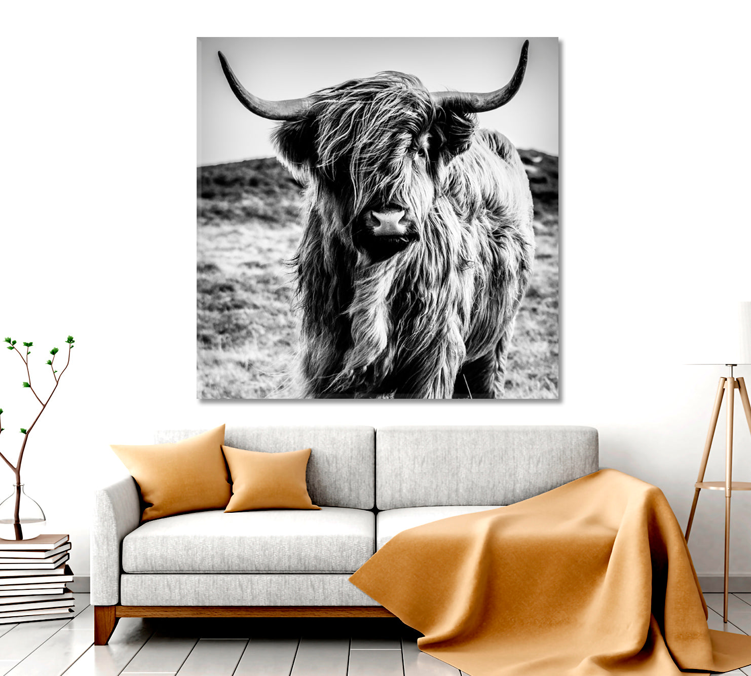 Black and White Cattle Shaggy Highland Cow Animals Canvas Print Artesty 1 Panel 12"x12" 