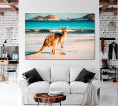 Kangaroo at Lucky Bay Countries Canvas Print Artesty 1 panel 24" x 16" 