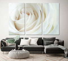 Soft And Dreamy White Creamy Roses Floral & Botanical Split Art Artesty 3 panels 36" x 24" 