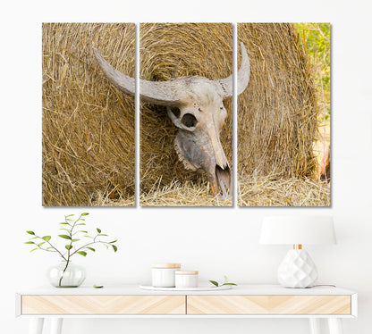 Cattle Cow Skull On Straw Animals Canvas Print Artesty 3 panels 36" x 24" 