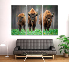 Cow Wild Bison In The Nature Animals Canvas Print Artesty 3 panels 36" x 24" 