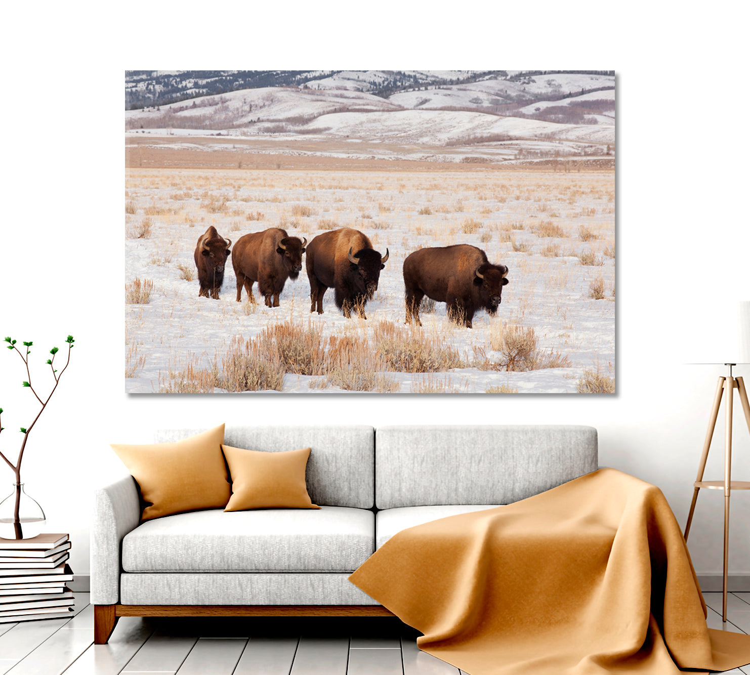 Field With Four American Bison Animals Canvas Print Artesty   