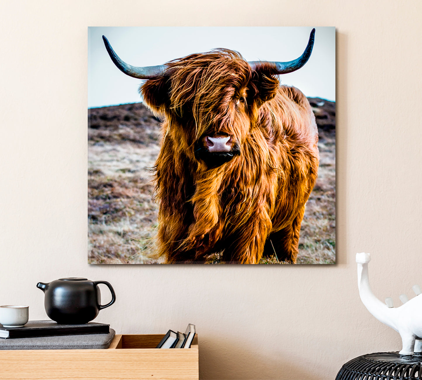 Shaggy Highland Cow Animals Canvas Print Artesty   