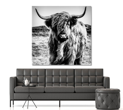 Black and White Cattle Shaggy Highland Cow Animals Canvas Print Artesty   