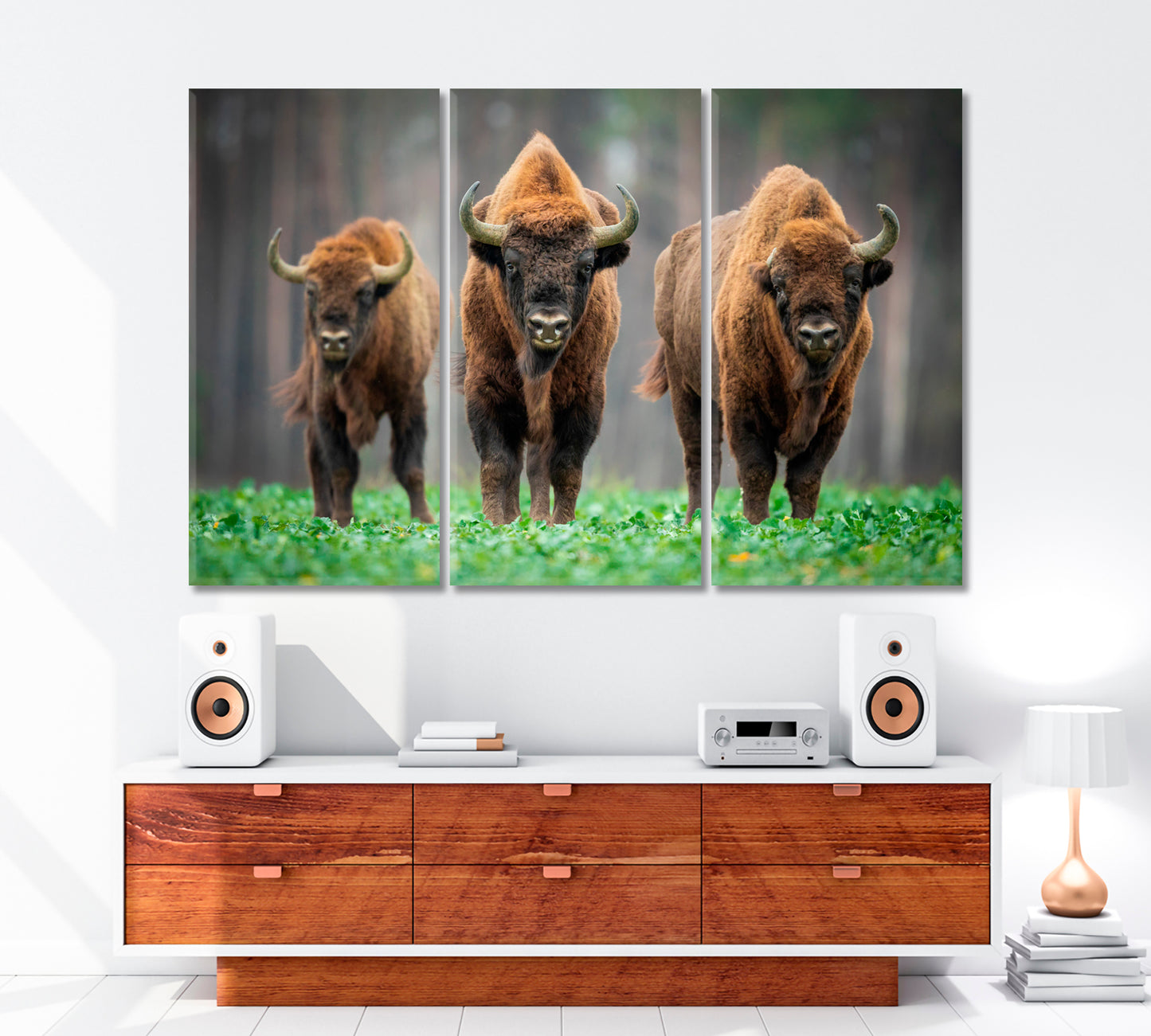 Cow Wild Bison In The Nature Animals Canvas Print Artesty   