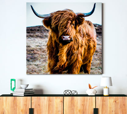 Shaggy Highland Cow Animals Canvas Print Artesty   