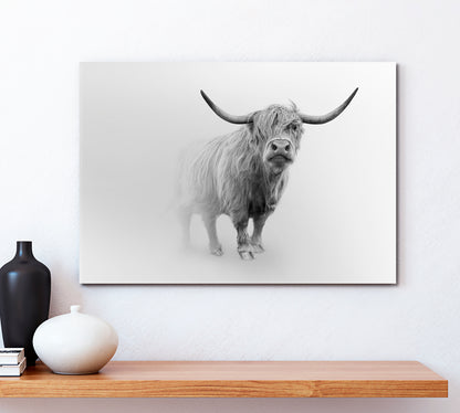 Young Scottish Highland Cattle Cow Animals Canvas Print Artesty   