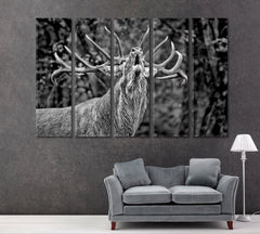 Deer Canvas Wall Art Canvas Print Artesty   