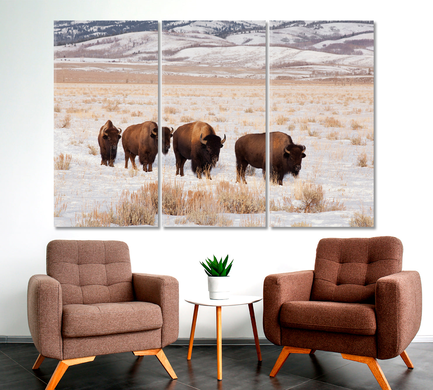 Field With Four American Bison Animals Canvas Print Artesty   