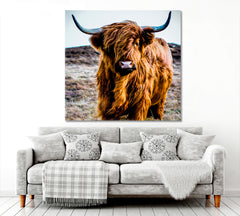 Shaggy Highland Cow Animals Canvas Print Artesty 1 Panel 12"x12" 