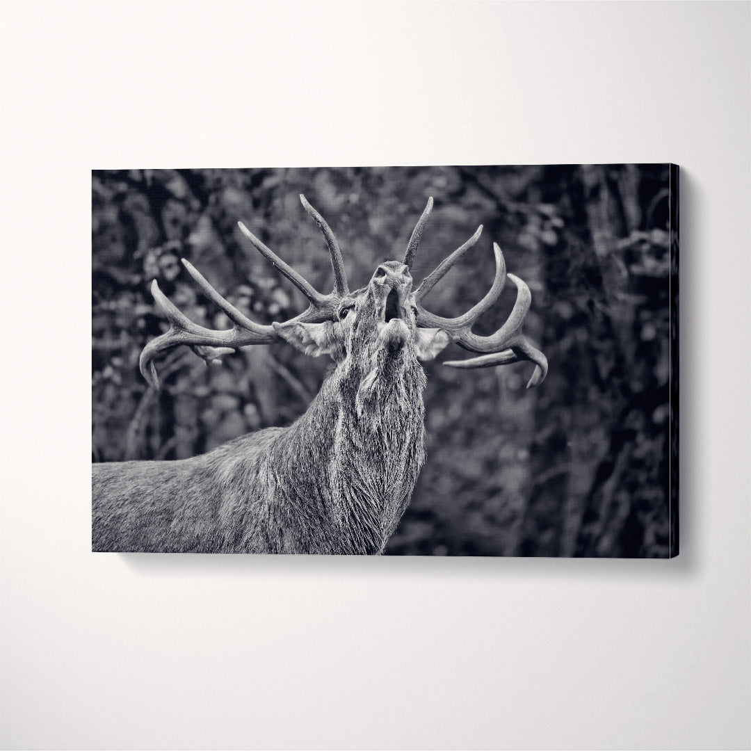 Deer Canvas Wall Art Canvas Print Artesty   