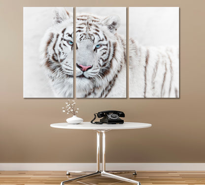 Beautiful Mighty White Tiger Animals Canvas Print Artesty   