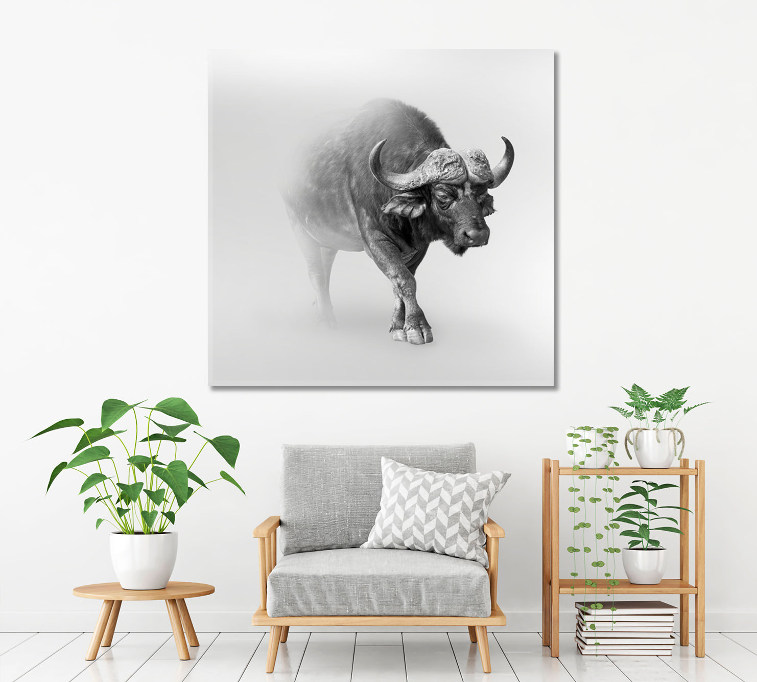 WILDLIFE African Buffalo In The Mist Animals Canvas Print Artesty   