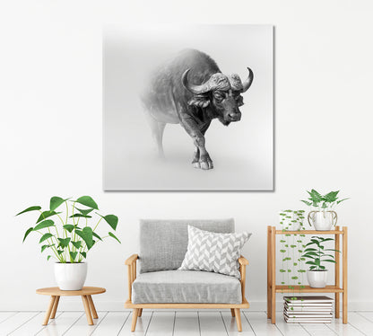 WILDLIFE African Buffalo In The Mist Animals Canvas Print Artesty   