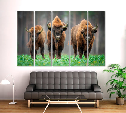 Cow Wild Bison In The Nature Animals Canvas Print Artesty   