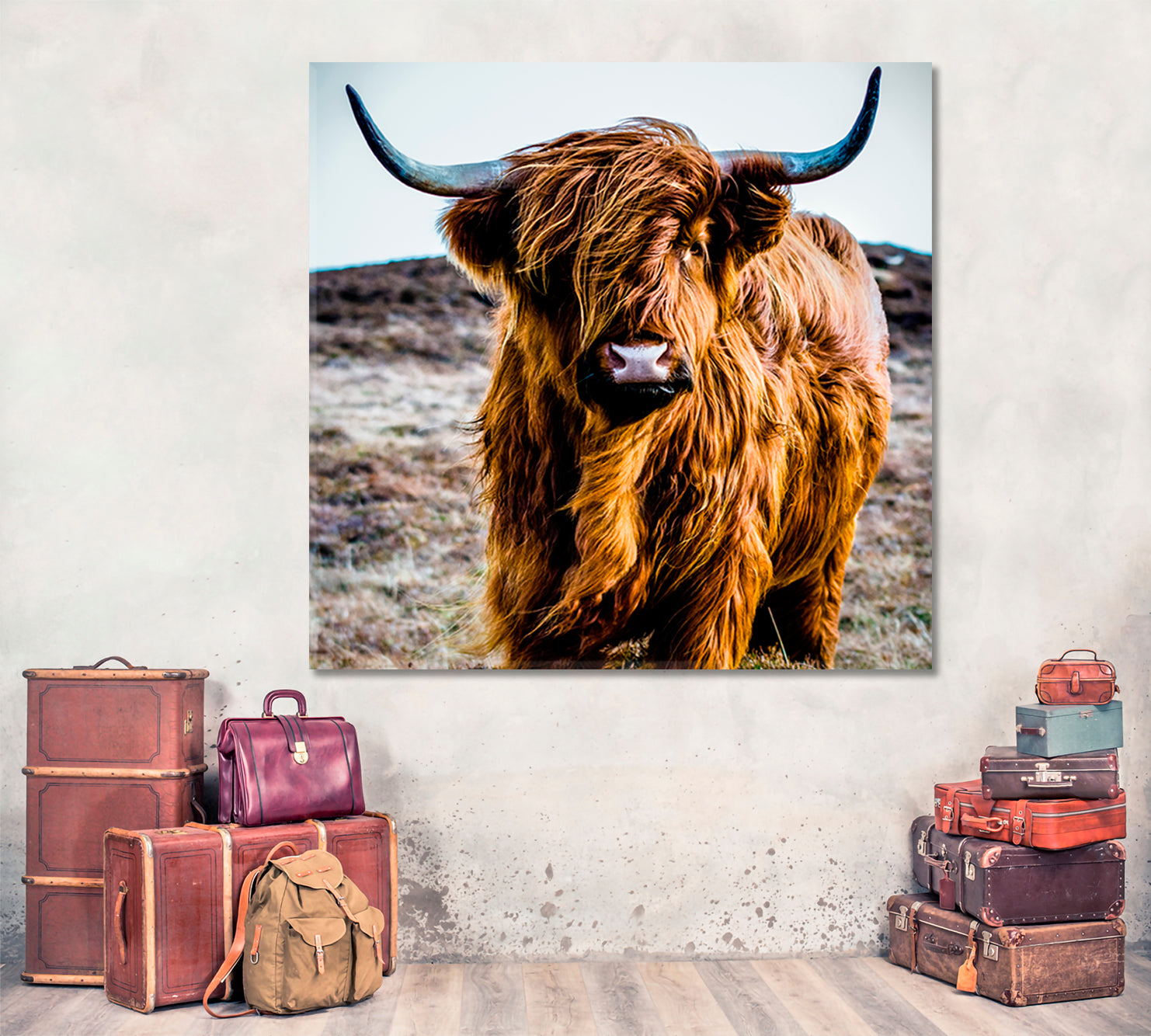 Shaggy Highland Cow Animals Canvas Print Artesty   