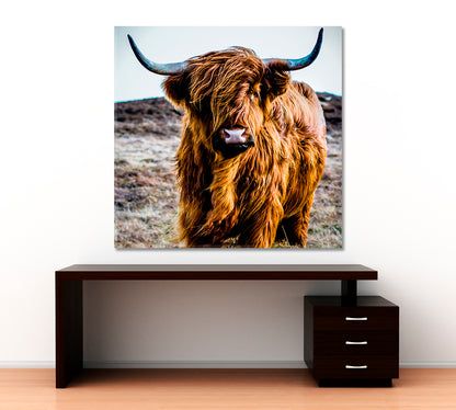 Shaggy Highland Cow Animals Canvas Print Artesty   