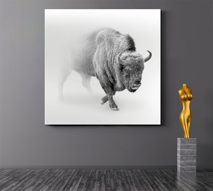 WILDLIFE African Buffalo In The Mist Animals Canvas Print Artesty   