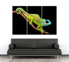 Chameleon Animals Canvas Print Artesty 3 panels 36" x 24" 