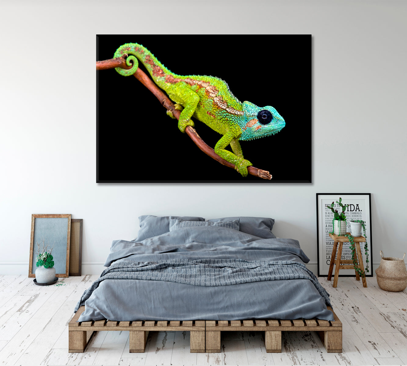 Chameleon Animals Canvas Print Artesty   